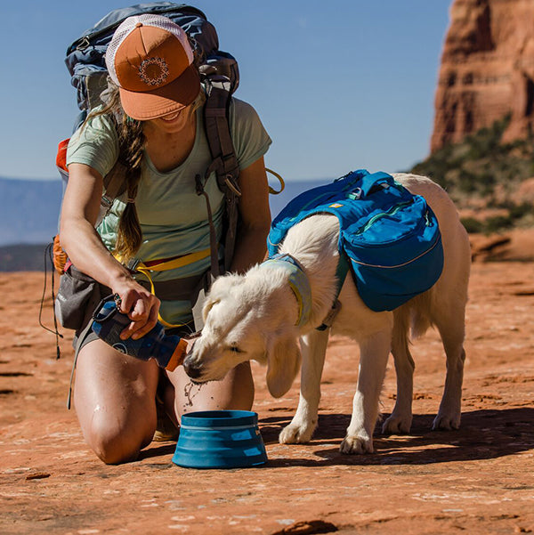 Sports Adventure Pampered Puppies