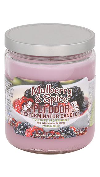 https://www.ppups.com/cdn/shop/files/SPPCandleMulberrySpice.png?v=1700765142