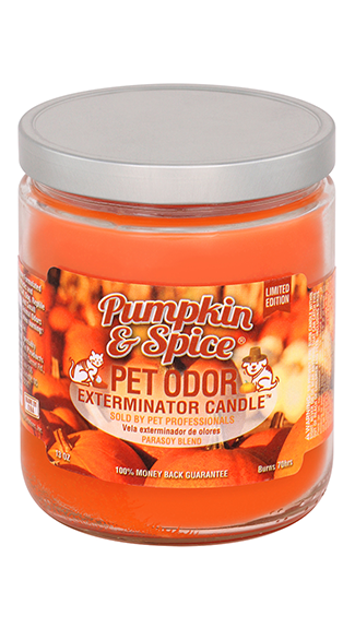 https://www.ppups.com/cdn/shop/files/SPPCandlePumpkinSpice.png?v=1700759690